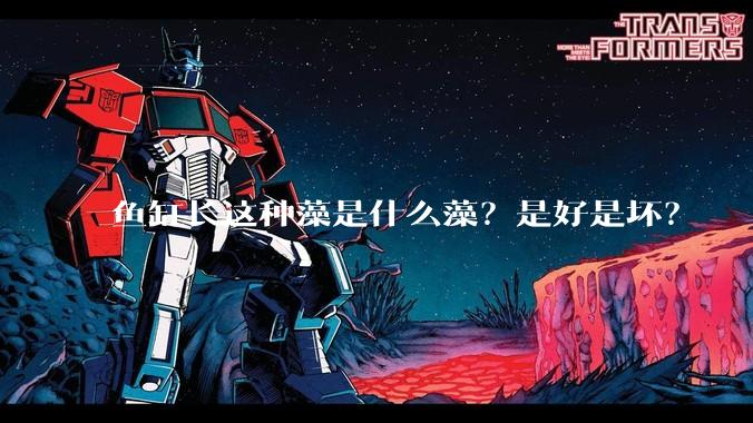 鱼缸长这种藻是什么藻？是好是坏？