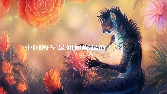 中国海军是如何崛起的？