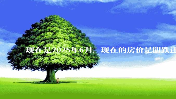 现在是2025年6月，现在的房价是阴跌还是暴跌？还会继续跌多久？是否已经开始分化?
